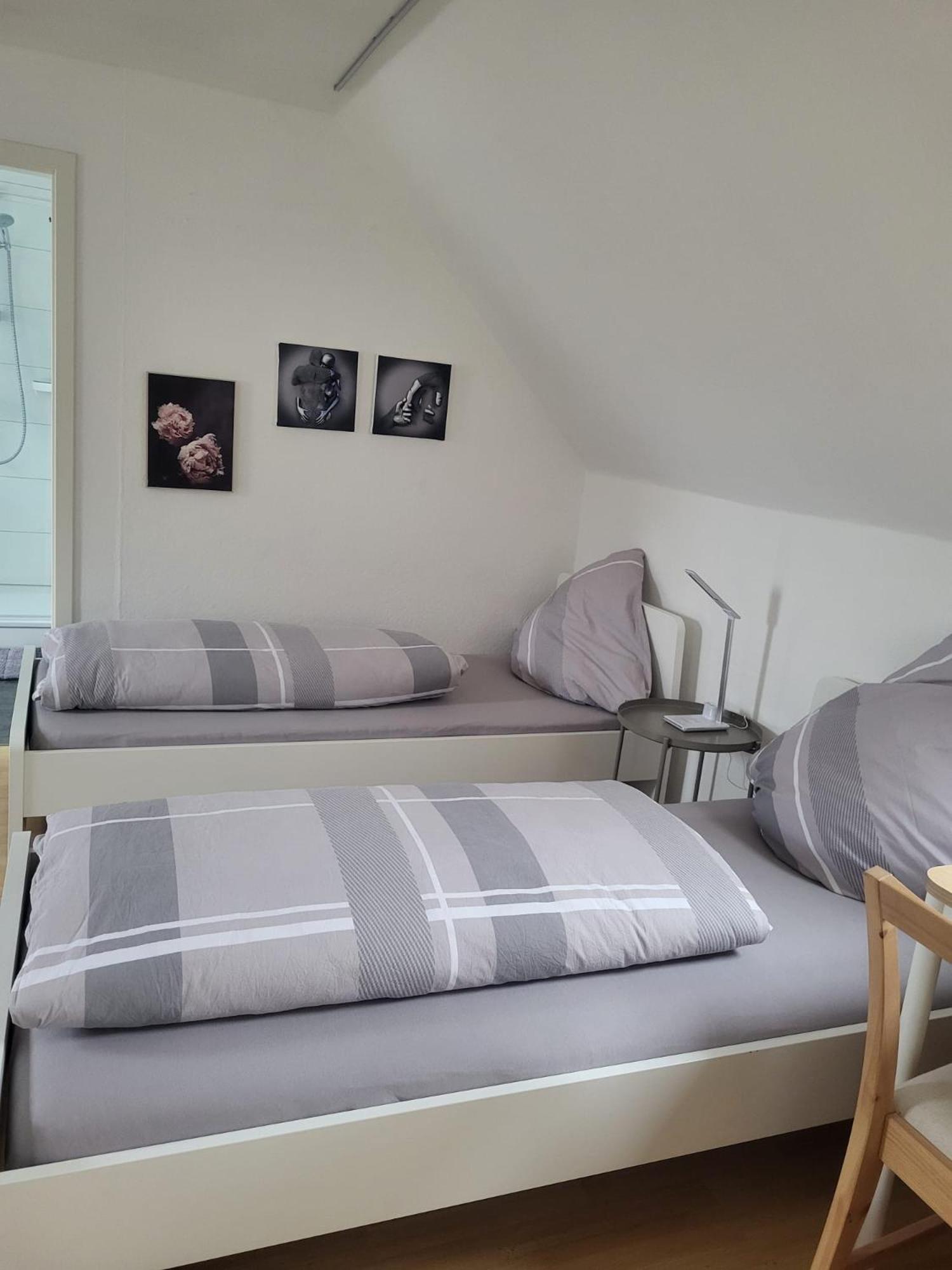 A&V Apartments Gemuetliche Rheinblick Wohnung Apt Daisy Duisburg Ngoại thất bức ảnh